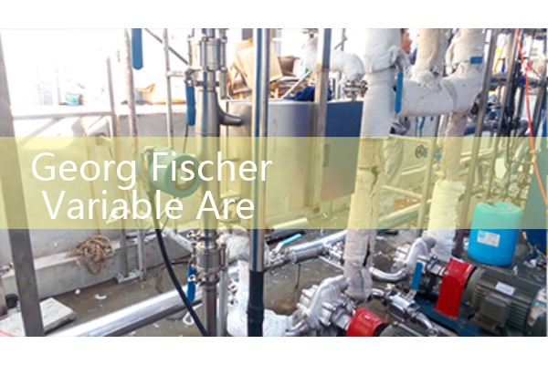 Georg Fischer Variable Area Flow Meter Calibration: Cleaning and Adjusting Mechanical Floating Rotameters